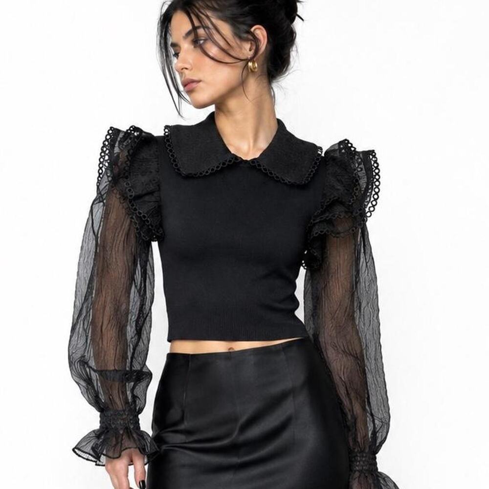 Zara Sheer Puff Sleeve Blouse Dark Academia Whimsy goth Avant Garde
